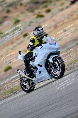 media/Apr-26-2025-2WTD (Sat) [[797c348bd3]]/C Group/240pm/